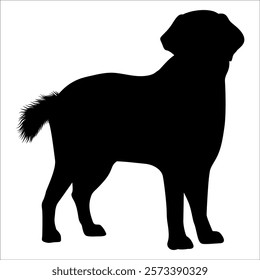 Black Animal Dog Silhouettes Vector illustration