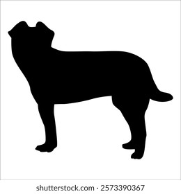 Black Animal Dog Silhouettes Vector illustration