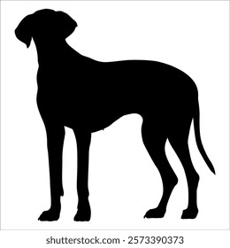 Black Animal Dog Silhouettes Vector illustration