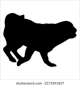 Black Animal Dog Silhouettes Vector illustration