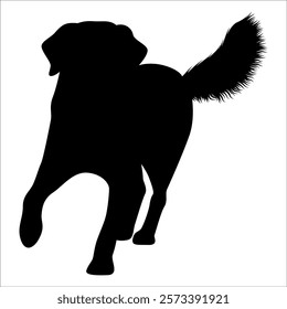 Black Animal Dog Silhouettes Vector illustration