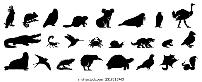 Black animal silhouette collection. Set of black animals icon. Vector animals icon