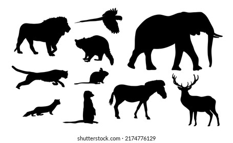 Black animal silhouettes on a white background. Silhouettes of lion, cheetah, weasel, parrot, raccoon, degu, meerkat, zebra, deer and elephant. Banner, sticker, brochure. 
