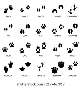 black animal tracks icons. Animal feet silhouette. Vector illustration. Stock image. 