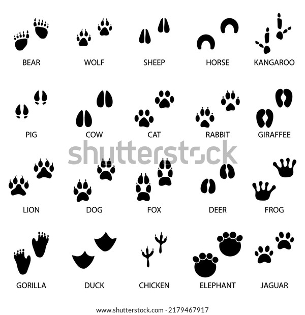 black animal tracks icons. Animal feet\
silhouette. Vector illustration. Stock image.\
