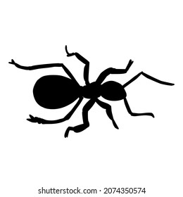 Black ant close up, silhoette. Vector