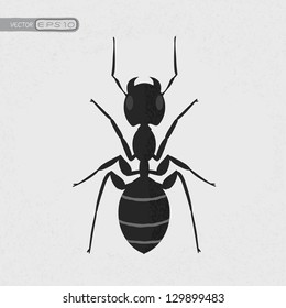 Black ant , eps10 vector format