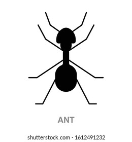 Black ant flat icon on white transparent background. You can be used black ant icon for several purposes.