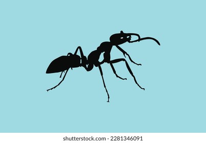 Black Ant free vector arts illustrations with background