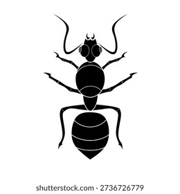 black ant insect animal vector illustration image