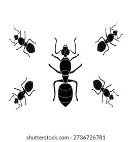 black ant insect animal vector illustration image