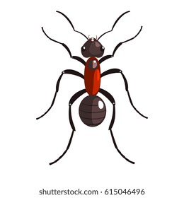 Black ant insect colorful colorful cartoon character