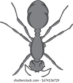 BLACK ANT INSECT MICRO DEAIGN