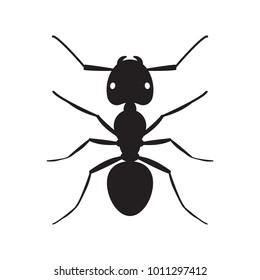 Black ant insect silhouette illustration