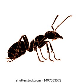 black ant insect vector design with orange stripes