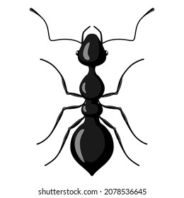 Black ant isolated on white background. Vector insect character in flat style for books illustration, design logo, articles and magazines.
