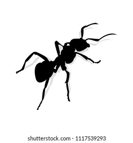 Black ant on white background, beautiful shadow, vector