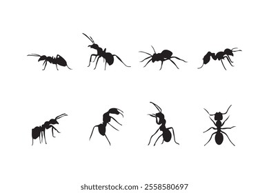 black ant silhouette collection, isolated white background vector illustration