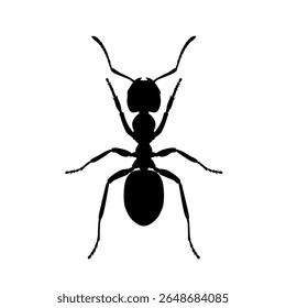 Black ant silhouette isolated on white background. Insect vector illustration perfect for biology, pest control, nature study, and educational conten