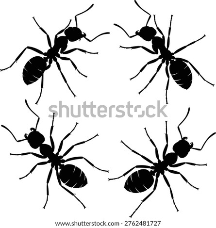 Black Ant Silhouette Set Top View, Worker Ant Icons For Pest Control And Nature Study, Flat Vector Illustration Isolated