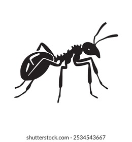 Black Ant silhouette vector Illustrator 