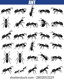 Black Ant Silhouettes Collection On White Background