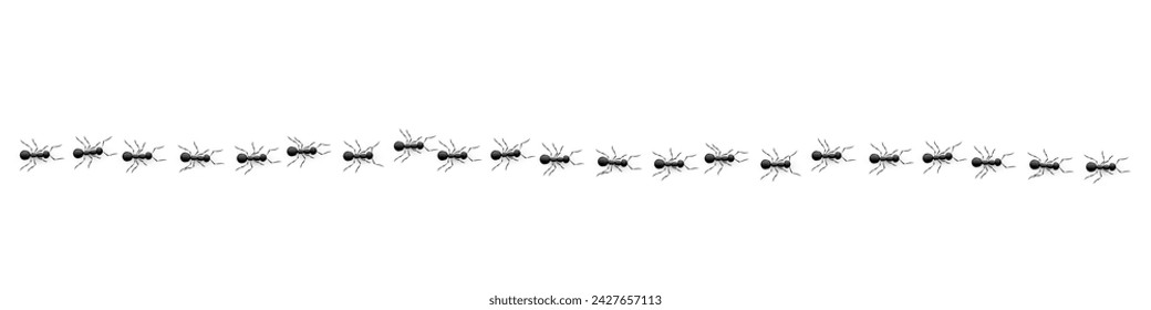 Black ant trail vector illustration. 3D realistic isolated working ants marching in row to anthill, line path pattern of small bugs for pest control design, group of insect walking for inspection