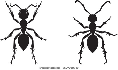 Icono de silueta de Vector de hormiga negra | Clipart de insectos Ilustración