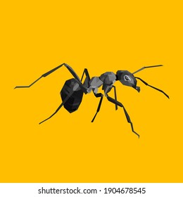 Black ant with yellow background in vektor illustration. Eps file
