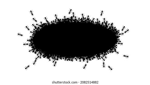 Black ants circle border. Ants forming round oval isolated in white background. Vector illustration