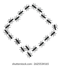 Black ants are forming a diamond shape on a white background
