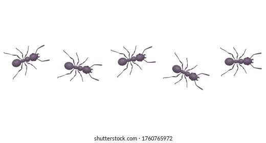 black ants go in line. parasites take over the house. Flat vector illustration of insects.