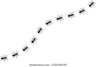 hormigas negras aisladas, Una línea de hormigas obreras marchando en busca de comida. Vector Anuncio, camino de hormigas, pista de hormigas