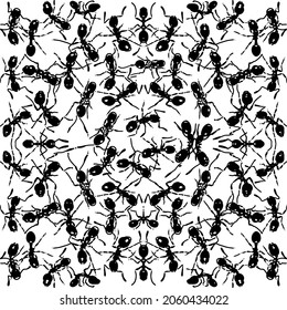 Black ants on the white background seamless pattern