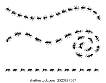 Black ants roads. Ant trails and paths, top view. Insects marching one after another, working together. Line and curve routes, neoteric vector scene