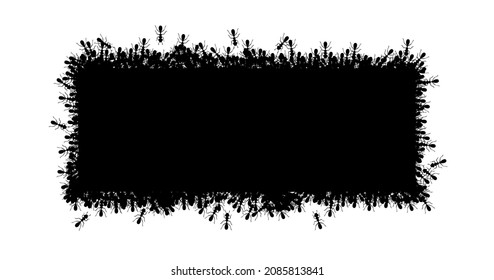 Black ants square border. Ants forming rectangular shape isolated in white background. Vector illustration