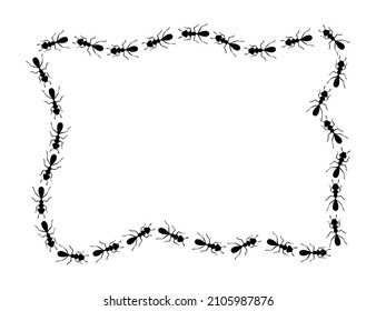 Black ants square border. Ants forming messy rectangular shape isolated in white background. Vector illustration