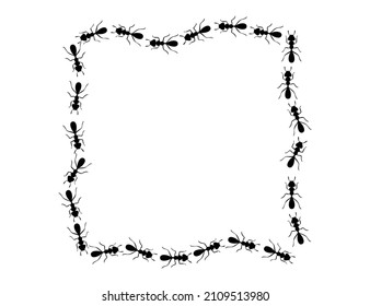 Black ants square border. Ants forming messy rectangular shape isolated in white background. Vector illustration