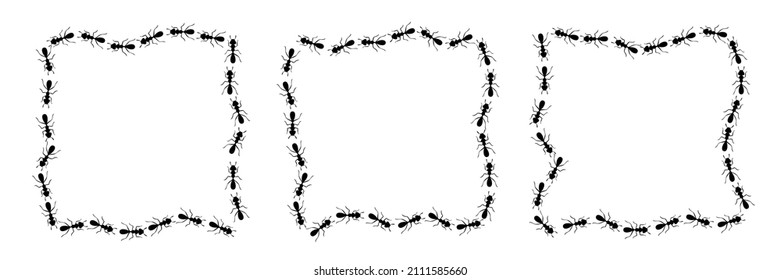 Borde cuadrado de hormigas negras. Las hormigas forman una forma rectangular desordenada aisladas en fondo blanco. Ilustración del vector