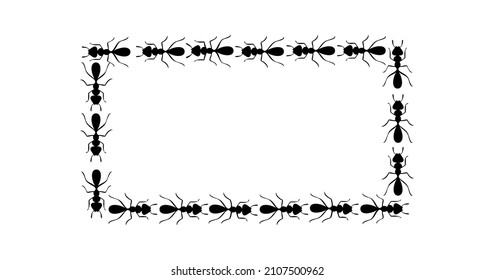 Black ants square border. Set with ants forming rectangular shape isolated in white background. Vector illustration