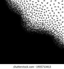Black ants vector illustration. Abstract creative composition. Insects in black and white concept. Black and white pattern.