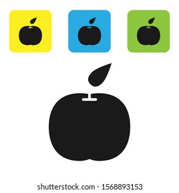 Black Apple icon isolated on white background. Fruit with leaf symbol. Set icons colorful square buttons. Vector Illustration