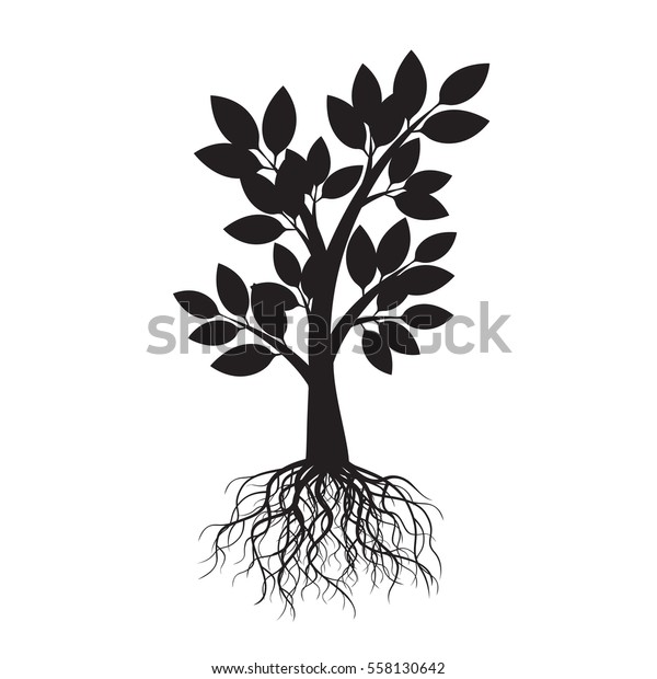 Black Apple Tree Roots Vector Illustration Stock Vector Royalty Free Shutterstock