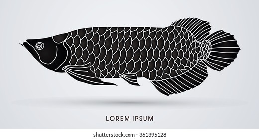 Black Arowana Fish, graphic vector.