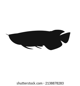 Black arowana fish silhouette isolated on white background - Vector