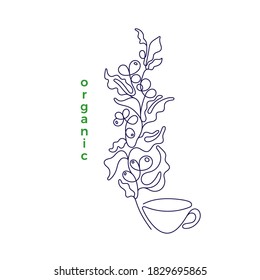 Black Art Single Line On White Background. Sketch Isolated Vector Illustration. Outline Minimal Drawing. Organic Coffee Plant, Bean, Cup Of Drink