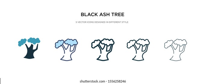 black ash tree icon in different style vector illustration. two colored and black black ash tree vector icons designed in filled, outline, line and stroke style can be used for web, mobile, ui
