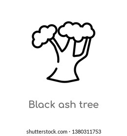 black ash tree vector line icon. Simple element illustration. black ash tree outline icon from nature concept. Can be used for web and mobile