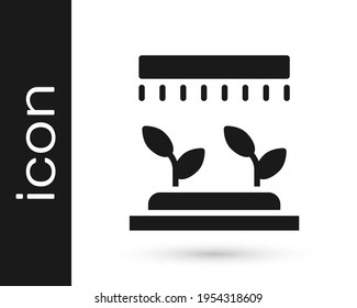 Black Automatic irrigation sprinklers icon isolated on white background. Watering equipment. Garden element. Spray gun icon.  Vector