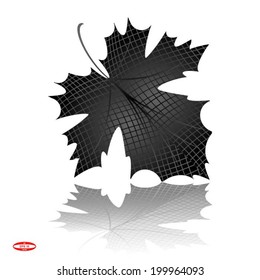 black autumn leaf with reflection on white background vector